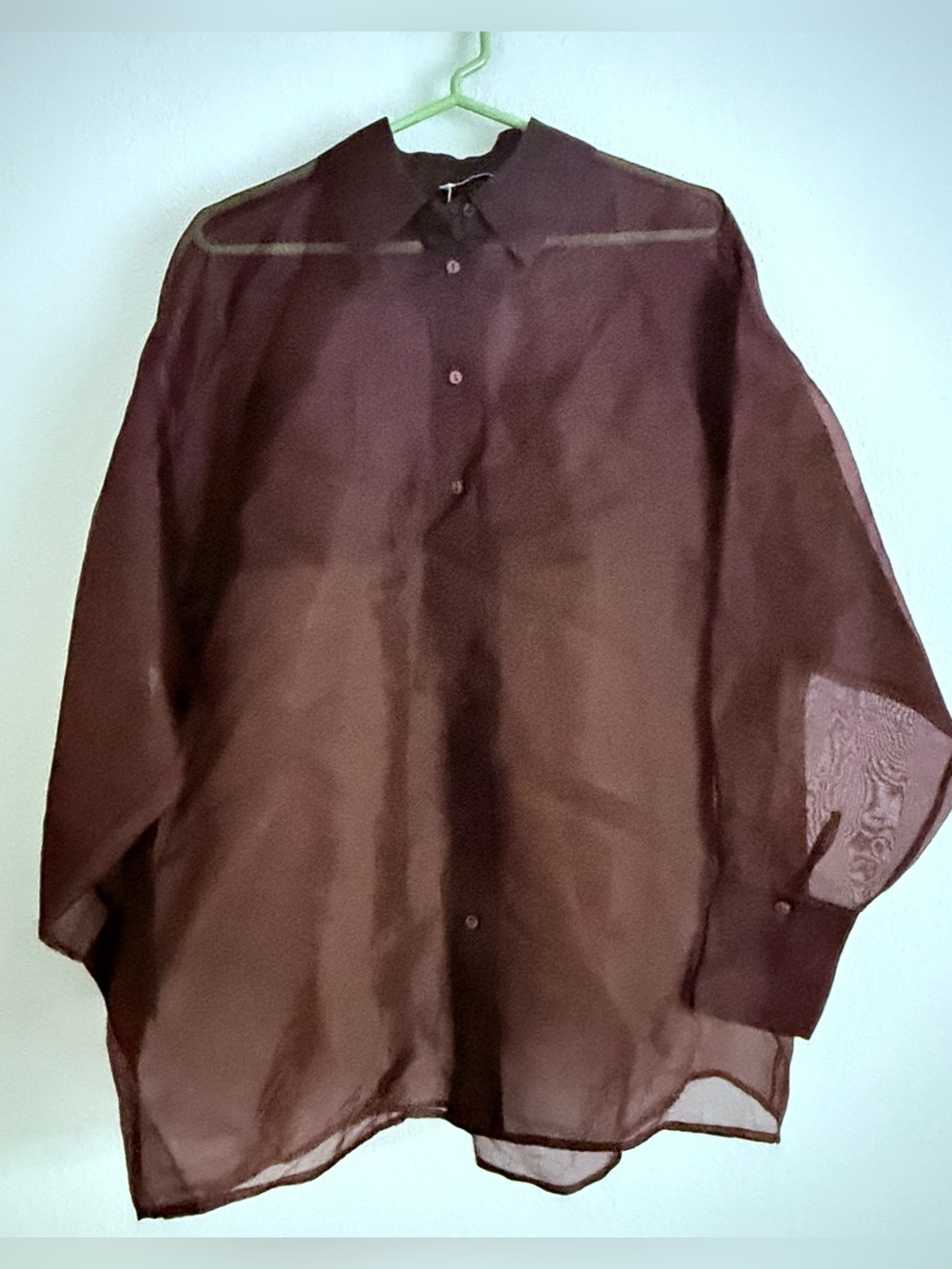 DISSH Gigi Long Sleeve Organza Sheer Button Shirt Brown Ramie Oversized Sz 0
